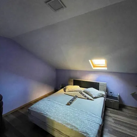 Lejlighed - старата лоза Montana