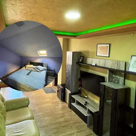 - старата лоза 몬타나